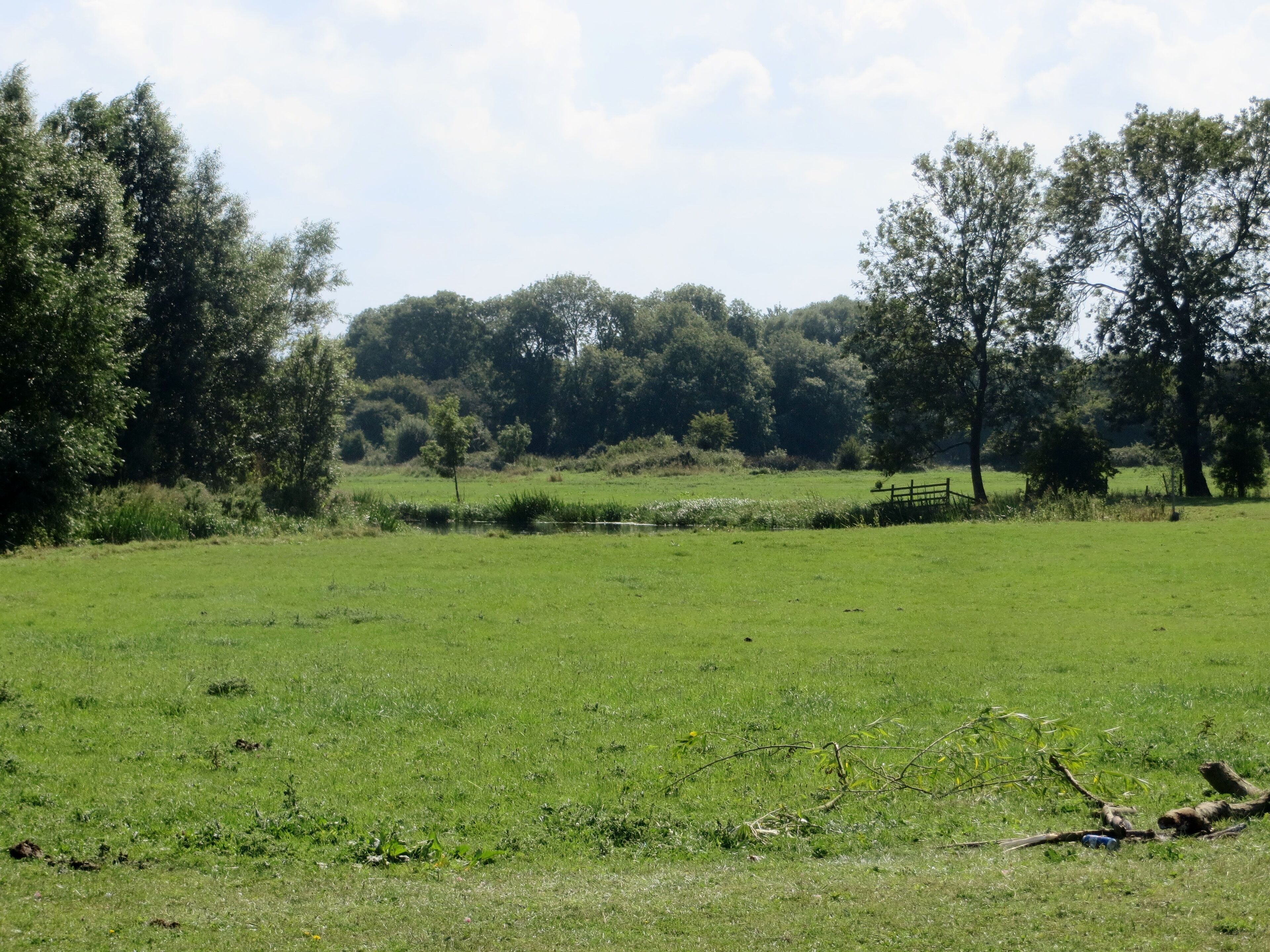 Meadows at Wansford Lock - August 2013