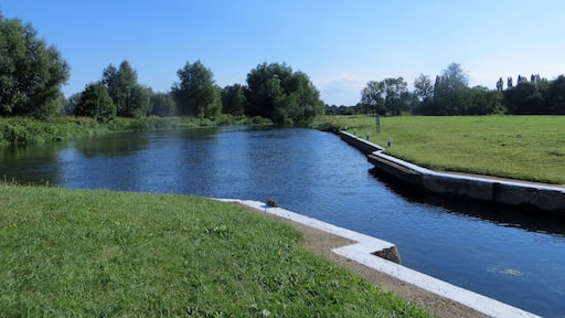 Upstream of Wansford Lock - August 2013