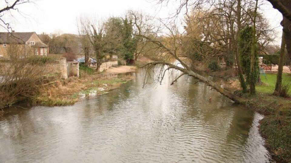 A calm river with a fallen tree, houses, and leafless trees in a rural setting.