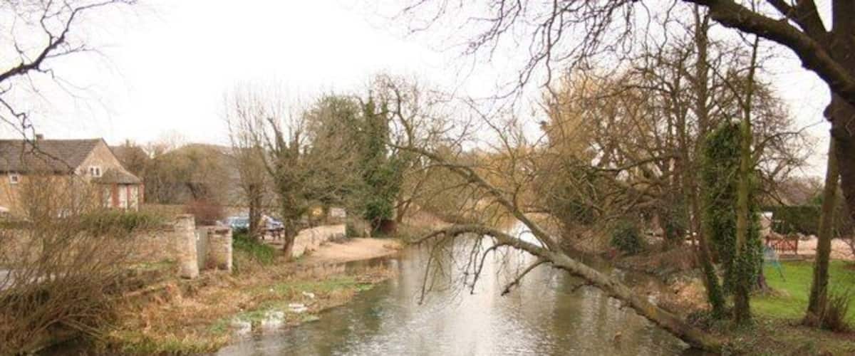 A calm river with a fallen tree, houses, and leafless trees in a rural setting.
