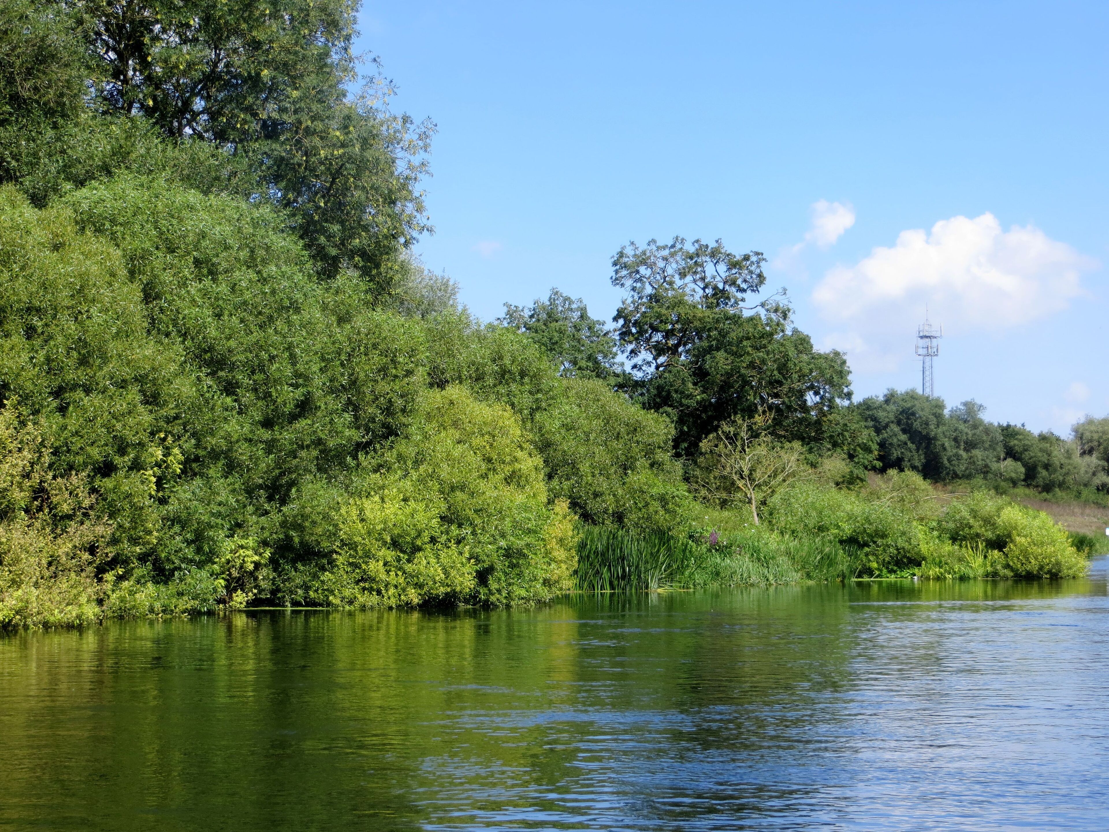 River Nene near Wansford - August 2013