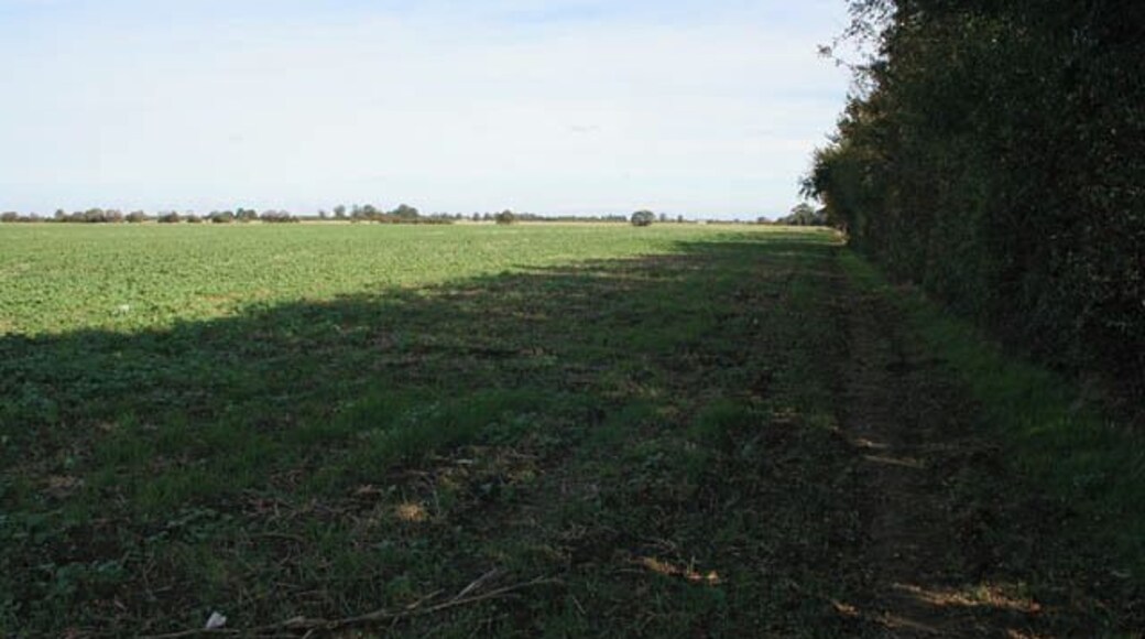 Farmland off Linchfield Road 587973 is just the other side of the hedge.