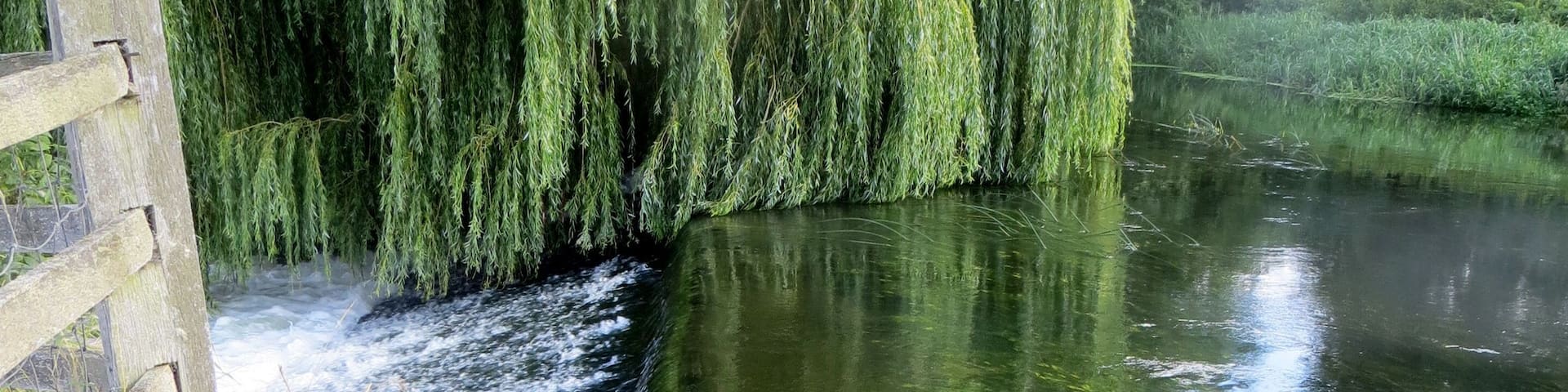 Weir and willows at Wansford - August 2013