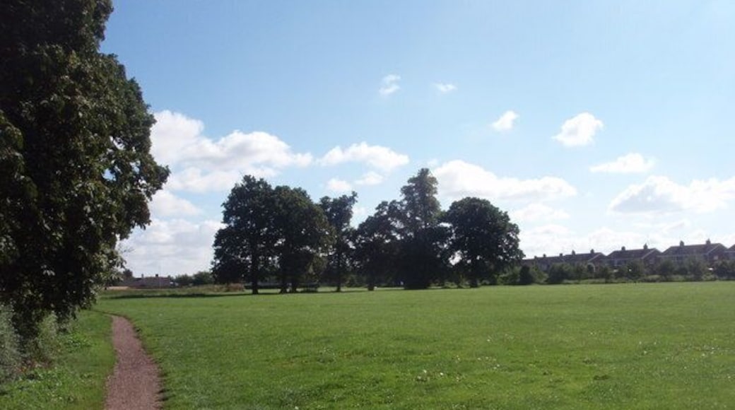 Glebe Field Glebe field is a grassy area in between Godsey Lane and St. Guthlac's Church. It contains many large horse chestnut trees and a cycle track.