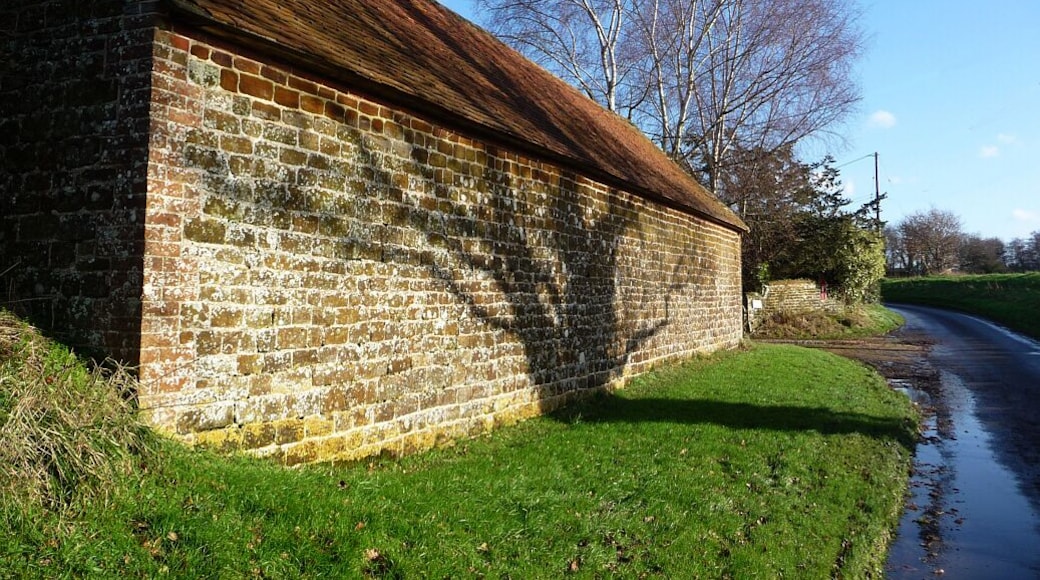 Tree shadow on farm building, Dumpford