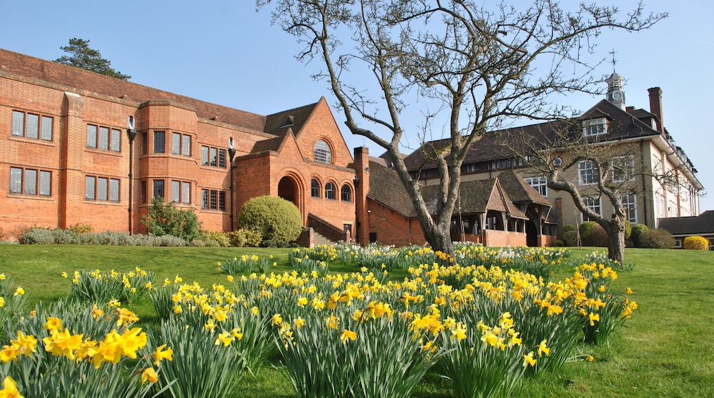 Bedales Memorial Library, Lupton Hall and Corridor