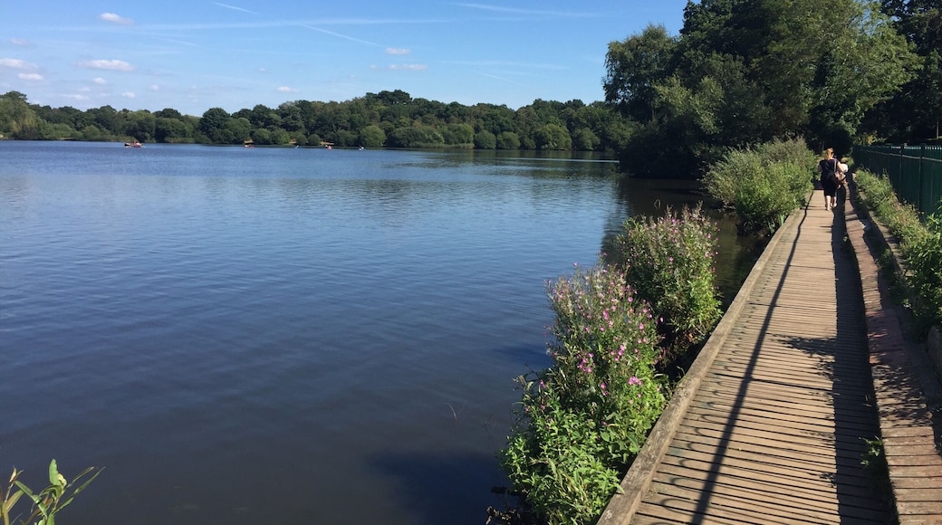 Lovely walk on a sunny day around the pond, after a picnic and ice cream. There is also a play park and you can hire canoes or boats to go out on the water.