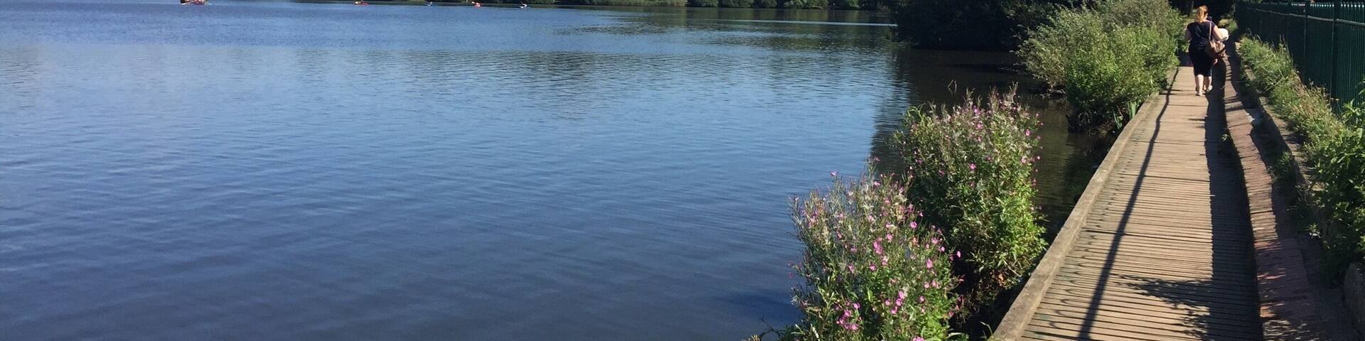 A calm lake with a wooden boardwalk on the right, surrounded by trees and greenery.