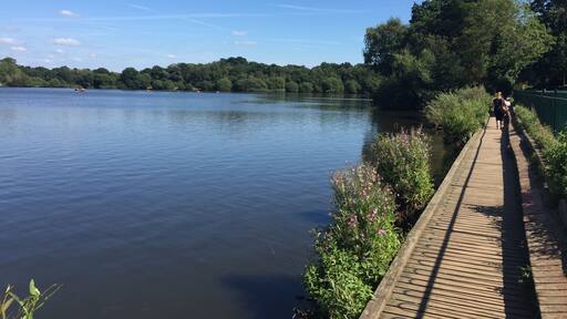 Lovely walk on a sunny day around the pond, after a picnic and ice cream. There is also a play park and you can hire canoes or boats to go out on the water.