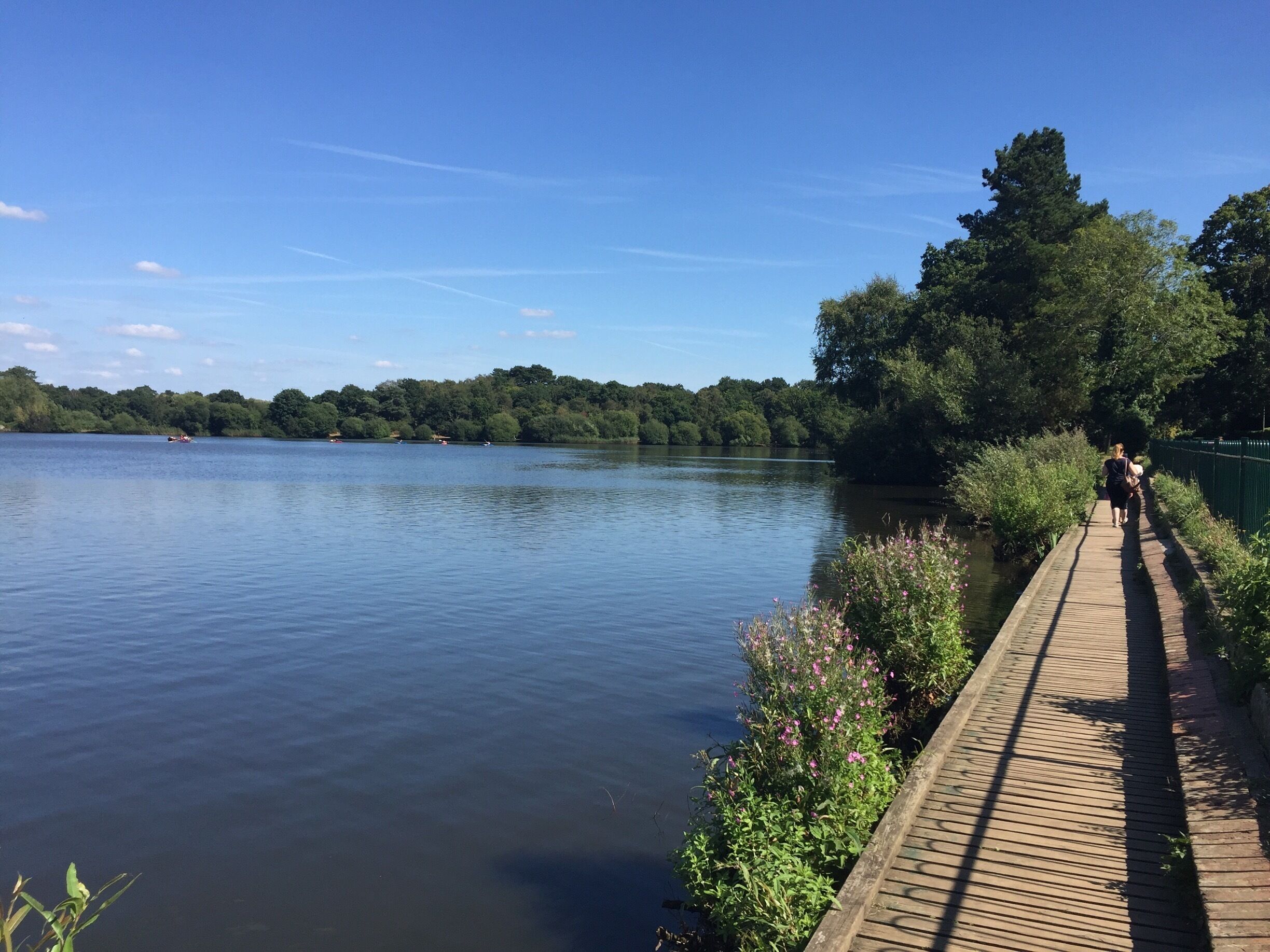 Lovely walk on a sunny day around the pond, after a picnic and ice cream. There is also a play park and you can hire canoes or boats to go out on the water.