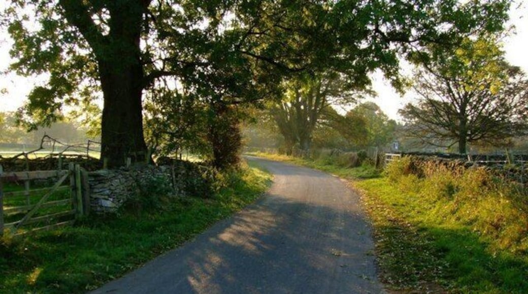 Early Light Braygate Lane, Levisham looking toward the village.