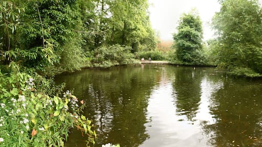 Thornton-le-Dale Lakeside panorama