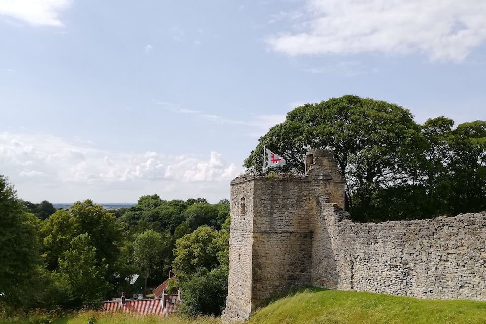 Restes d'un castell de pedra amb una bandera a la part superior, envoltat d'herba i arbres verds.