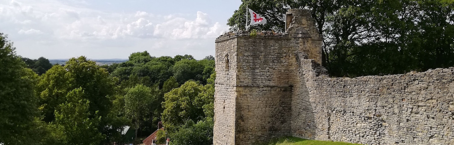 A stone castle ruin with a flag on top, surrounded by green grass and trees.