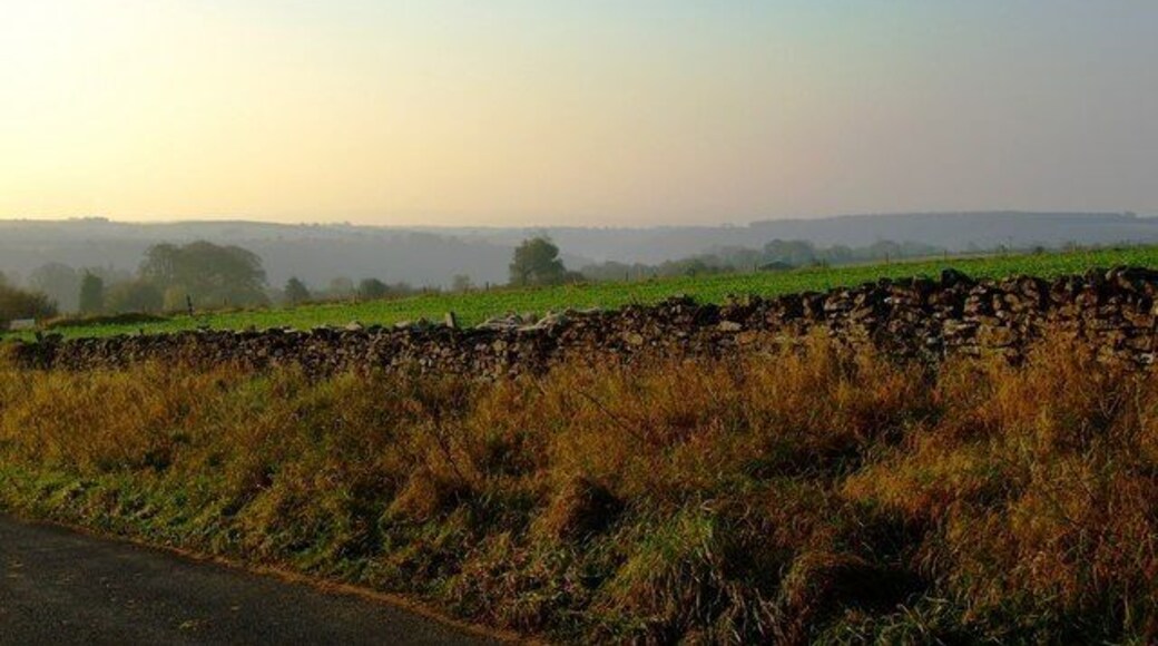 Walled up sugar beet Roadside vegetation in autumn tint fronts a drystone wall to the side of Braygate Balk, Levisham. A good crop of Sugar beet is to be seen in the field.