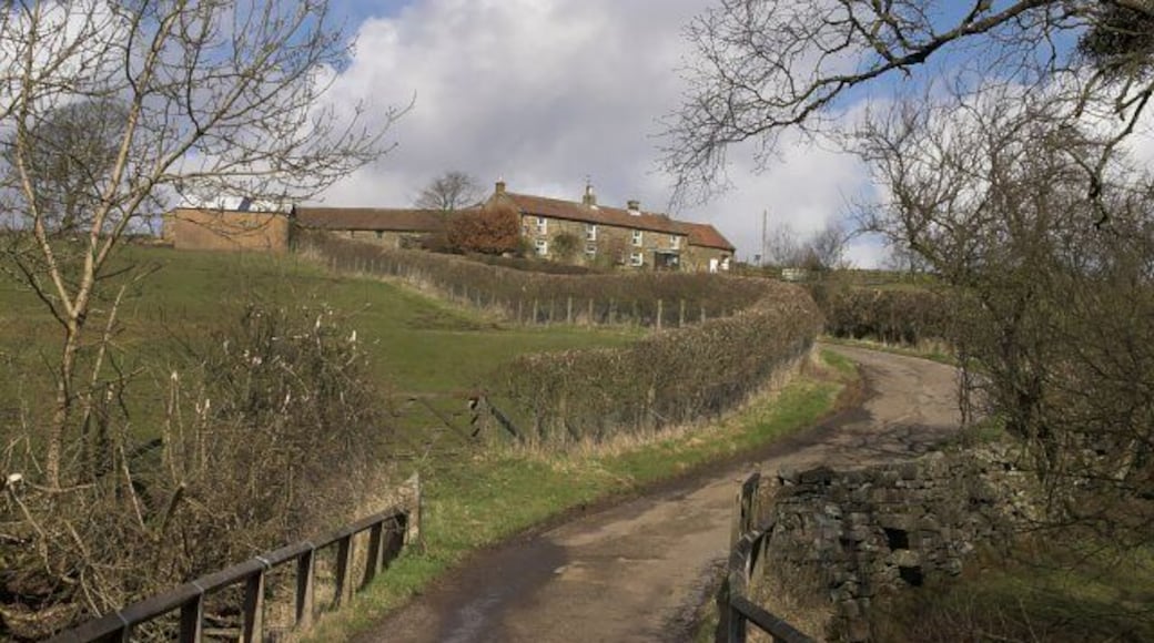 High Row Mires. The last farm up the Hartoft road.