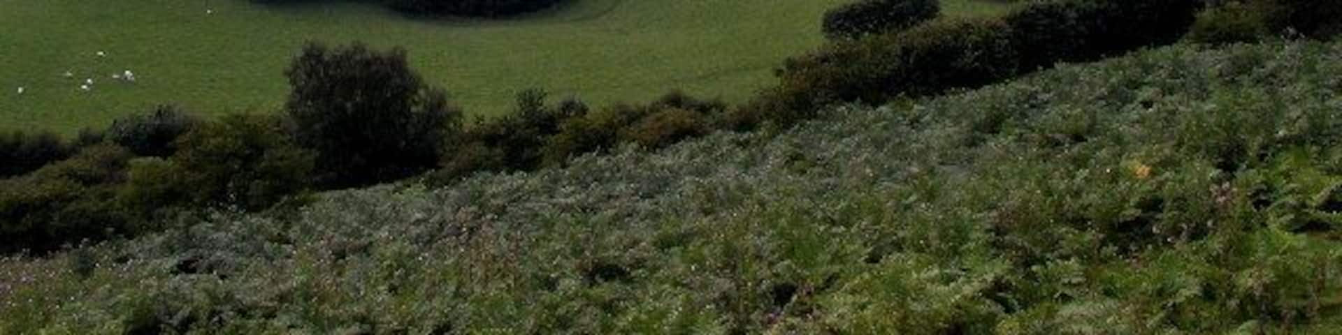 Levisham Station in Newtondale. Some rolling stock of the North Yorkshire Moors Railway can just be seen in the photograph at Levisham Station (see other picture for details of the location).