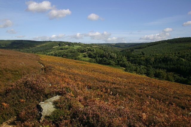 The Seven Valley, Rosedale. Looking North on the footpath from Rosedale to Lastingham along the Seven Valley, this view shows the Hartoft Beck valley on the right.
