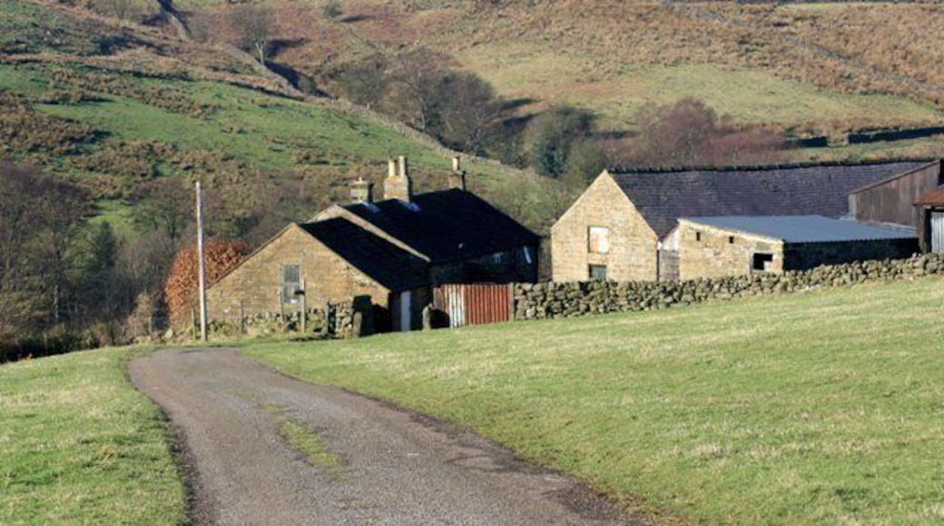 Higher Row Mires From the East Taken from the road to Lower Row Mires. Overlooking Hamer Beck.