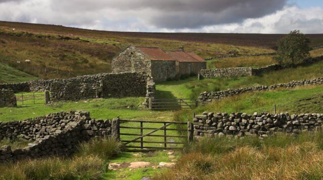 Barn at High Hamer. Showing the surrounding sheep pens system which is still used occasionally.