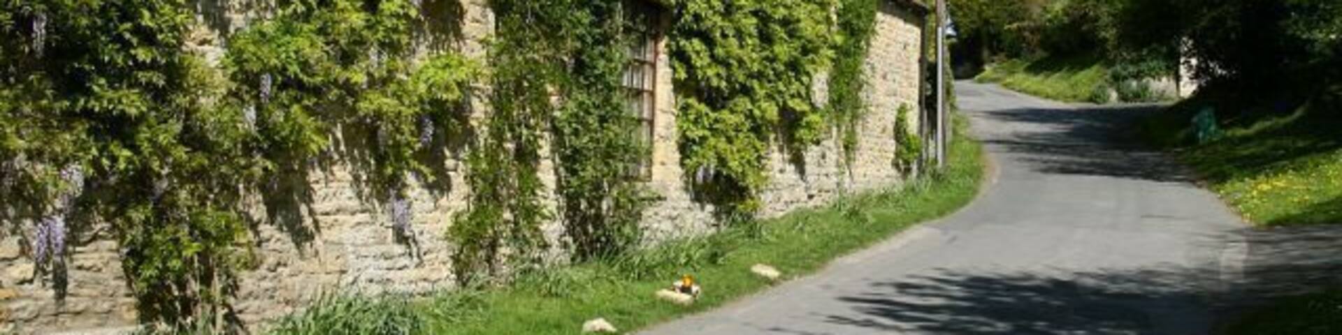 South Lane. South Lane runs to the south of, and parallel to 436987, the main road into the village from the east. This east north-easterly facing photograph of South Lane was taken from its junction (behind the viewpoint) with Rectory Lane. For a photograph of Rectory Lane taken from approximately the same viewpoint but rotated some 90° anticlockwise (northerly) facing toward High Street, click here 436997. For another photograph of Rectory Lane, again taken from approximately the same viewpoint, but rotated some 140° clockwise (south-westerly), click here 437011. For a photograph of the eastern (ahead) end of South Lane, click here 435912.