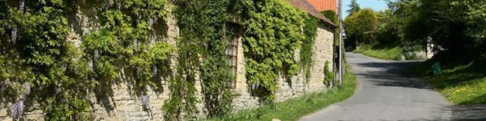South Lane. South Lane runs to the south of, and parallel to 436987, the main road into the village from the east. This east north-easterly facing photograph of South Lane was taken from its junction (behind the viewpoint) with Rectory Lane. For a photograph of Rectory Lane taken from approximately the same viewpoint but rotated some 90° anticlockwise (northerly) facing toward High Street, click here 436997. For another photograph of Rectory Lane, again taken from approximately the same viewpoint, but rotated some 140° clockwise (south-westerly), click here 437011. For a photograph of the eastern (ahead) end of South Lane, click here 435912.