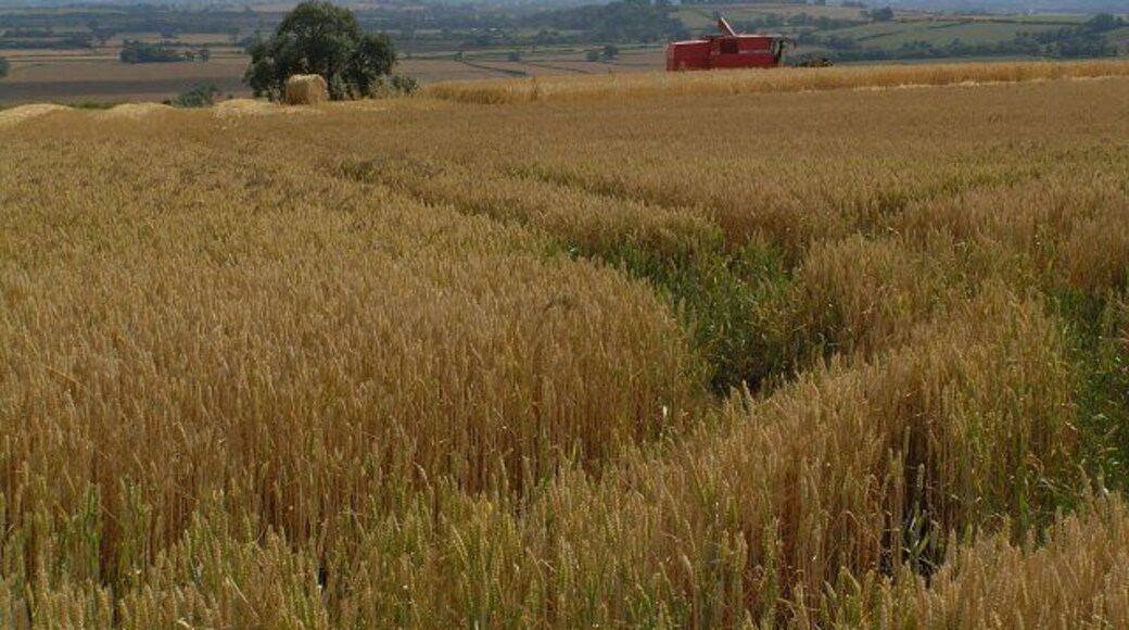 Pause in the Harvest. Combine harvester takes Sunday off as the previous evening brought welcome prolonged heavy rain across the area. Taken a little North of Wrelton village, North Yorkshire, Great Britain.