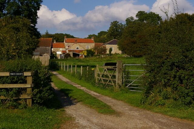 A rural path leading to a house with a sign reading "THE CHOP."
