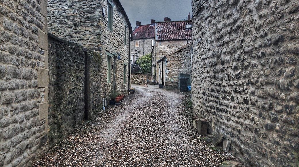 After a road trip to Pickering.. I saw this alleyway and just had to photograph it on the way back to the car.