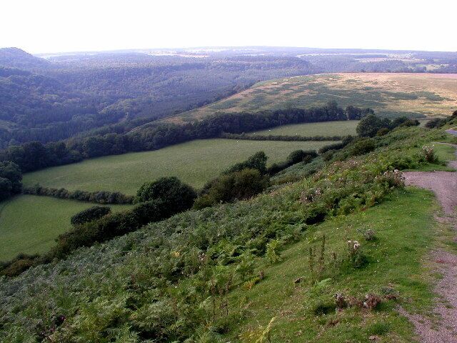 Newtondale. The fantastic view looking down into Newtondale from the Levisham to Levisham Station road at the top of the hill. The walk from Levisham Station to the Levisham is about 1.5 miles and includes a climb of just under 400' - not very handy to catch a train! This photo was taken at MR: SE82329101 - just within the square and facing in a NNW direction.