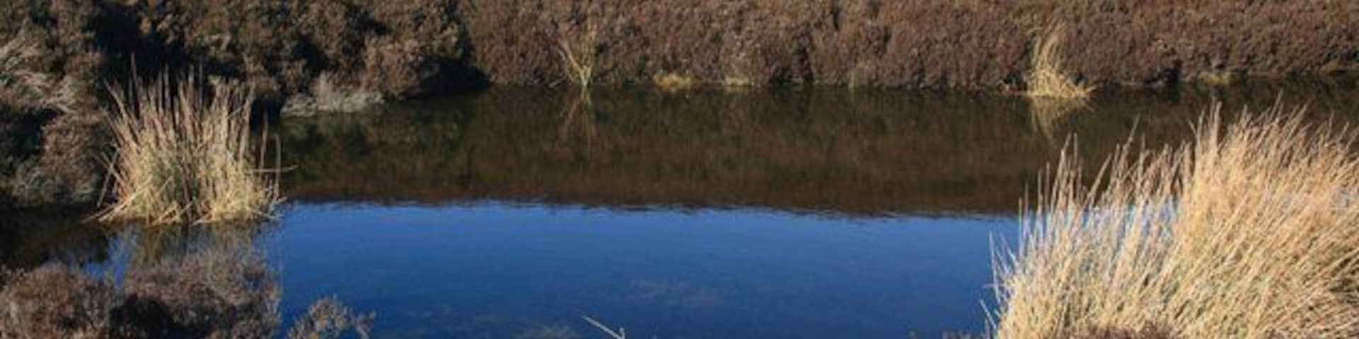 Pond, Hamer Moor Marked as a pit on the map, probably an old sandstone quarry.