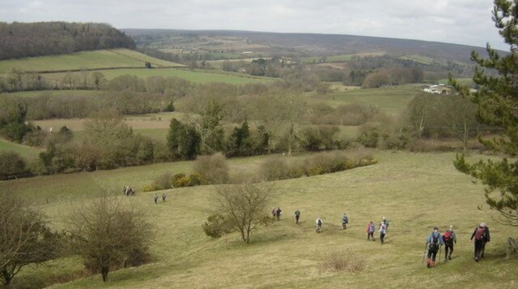 Into the valley Footpath from Cropton village into lower end of Rosedale Beckhouse Farm can be seen on the right