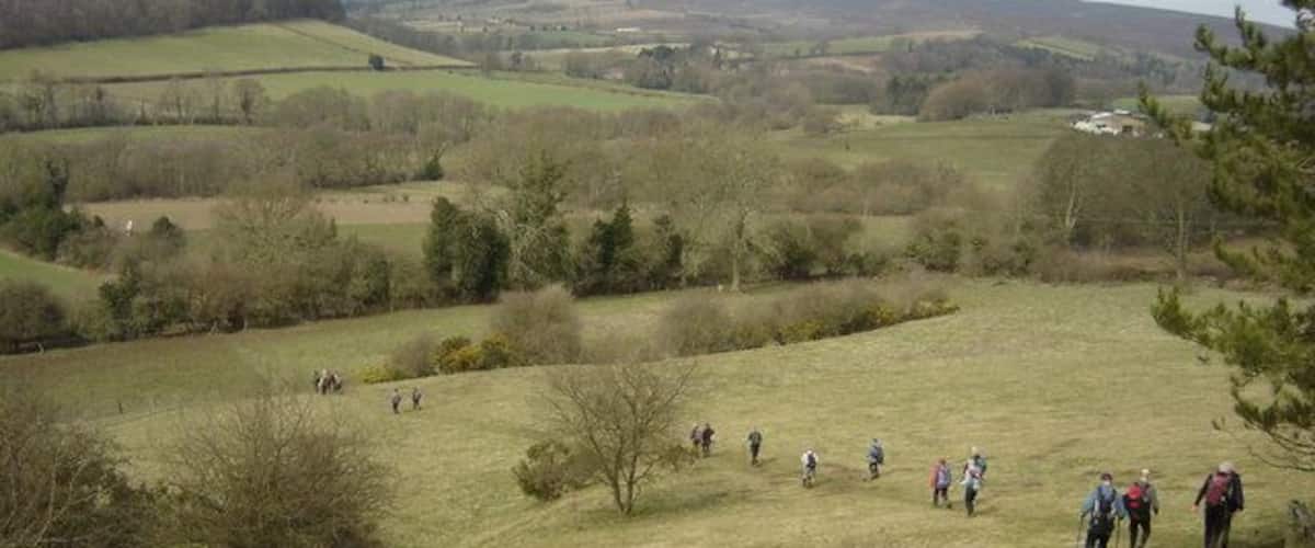 A hilly landscape with a group of hikers on a trail.