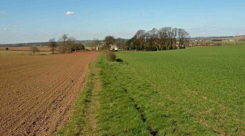 Bridleway from Upton Coming up to the grounds of Rogerthorpe Manor hotel.