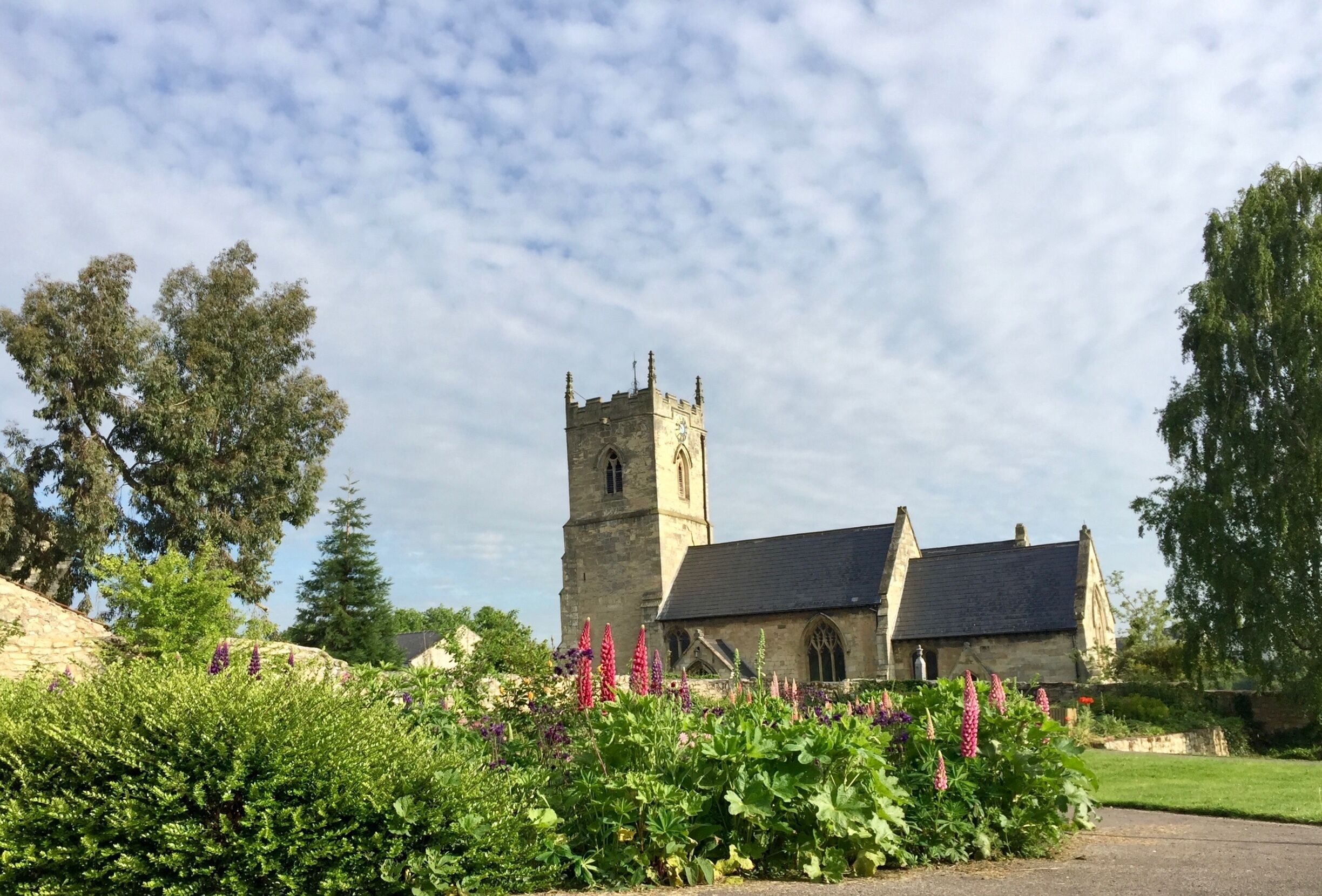 A church with a tall tower and a clock, surrounded by lush greenery and flowering plants.