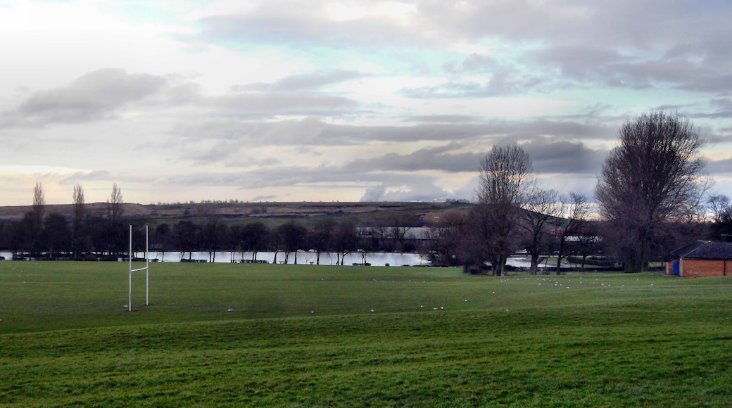 Pontefract park sports fields and lake