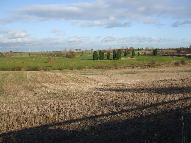 A vast agricultural field with rows of crops, a distant line of trees, and a cloudy sky.