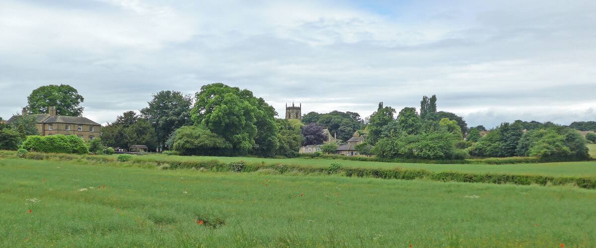 A rural landscape with a large field, several trees, and a distant church tower.
