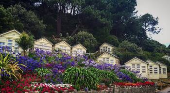 Shore Road , Sandbanks