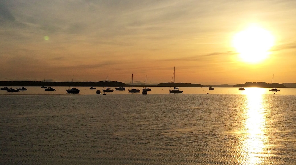 The view waiting for the chain ferry from Studland to Sandbanks