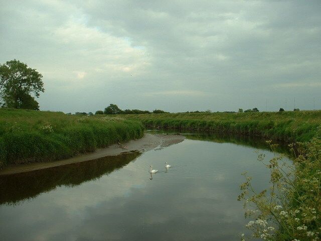 A calm river with a swan, surrounded by grassy banks and trees under a cloudy sky.
