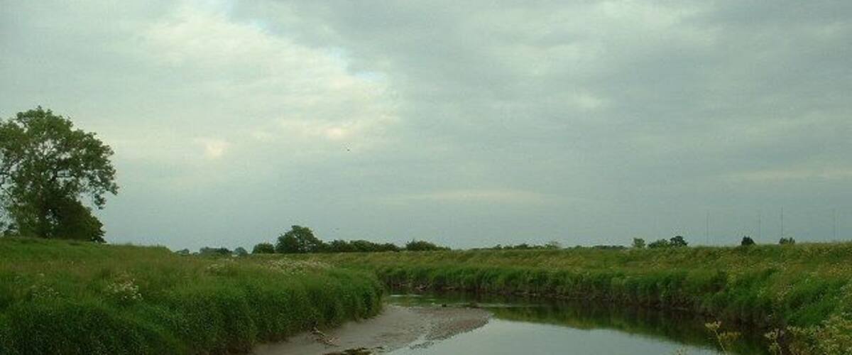 A calm river with a swan, surrounded by grassy banks and trees under a cloudy sky.