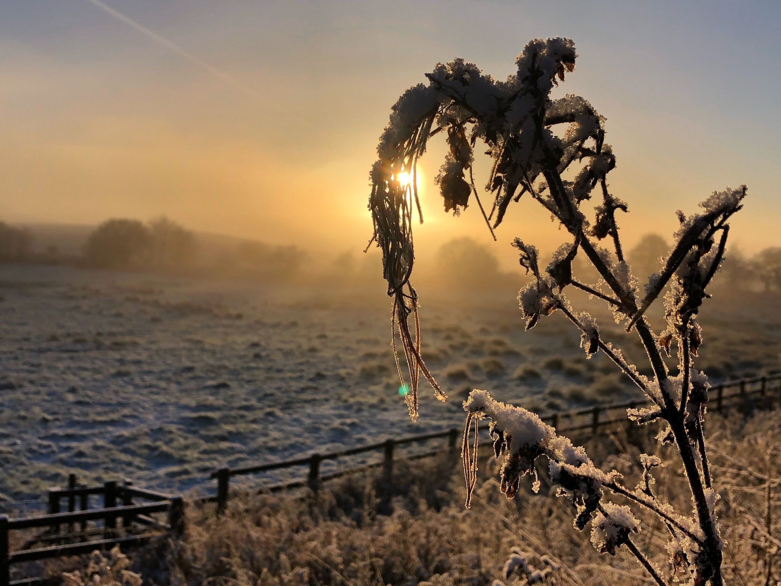 Winter morning in Lancashire