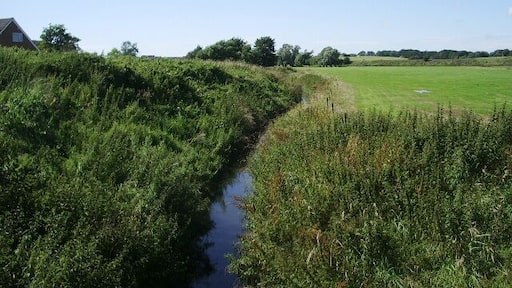 Carr Brook