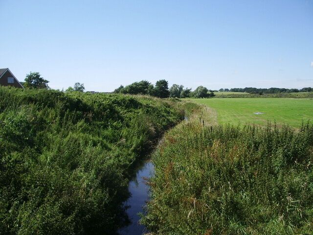 A narrow water channel flanked by dense vegetation and a grassy field.