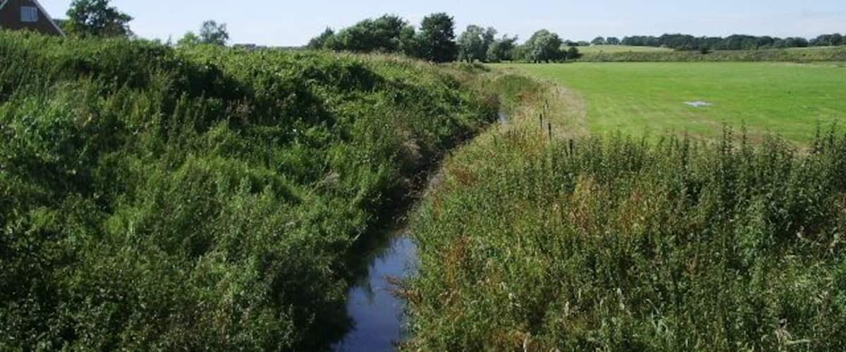 A narrow water channel flanked by dense vegetation and a grassy field.