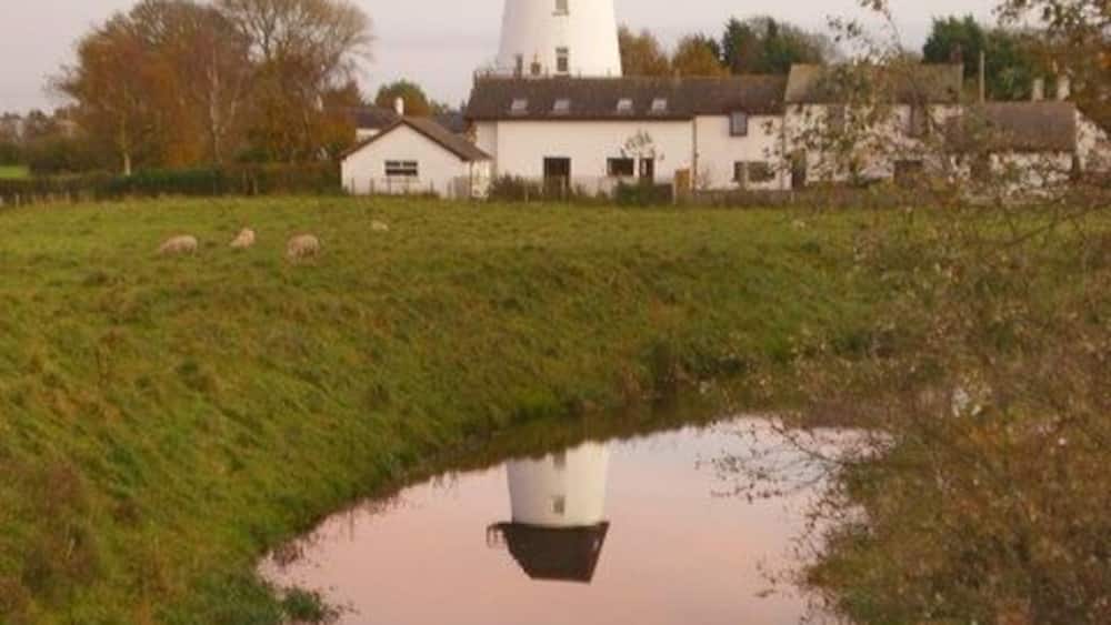 A white lighthouse with a black top, a small white building, and a pond reflecting the structure.