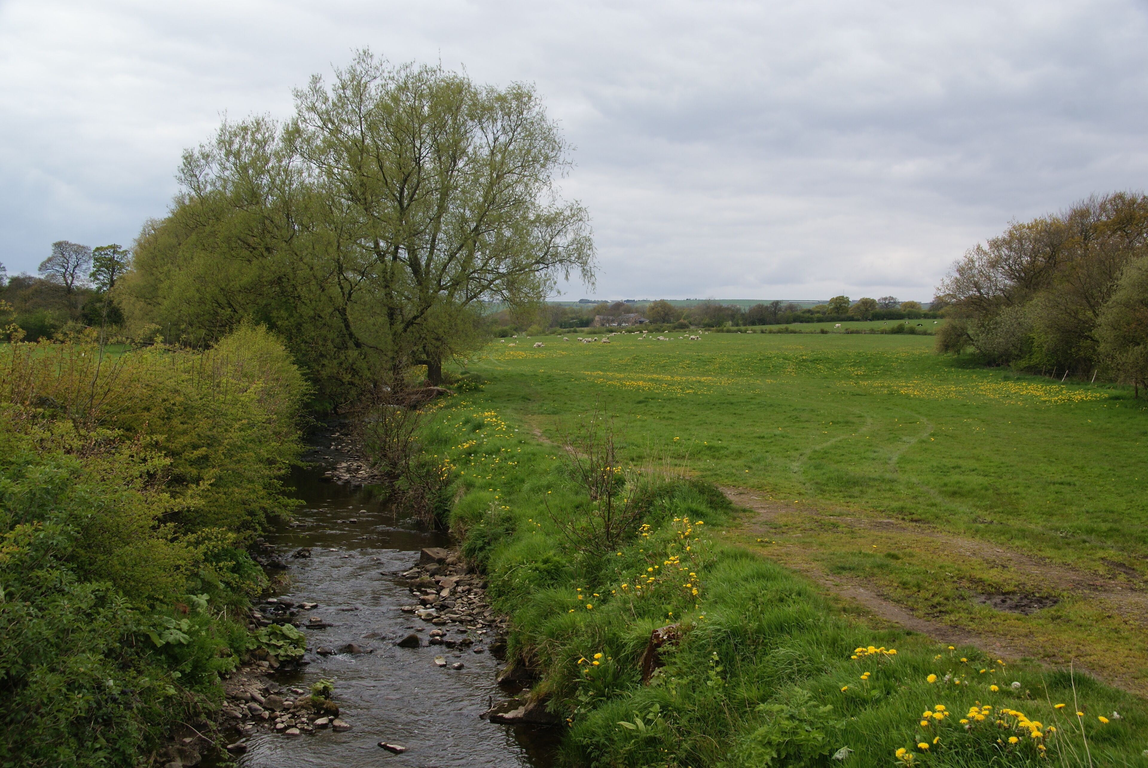 Boyce's Brook at the edge of Ribchester