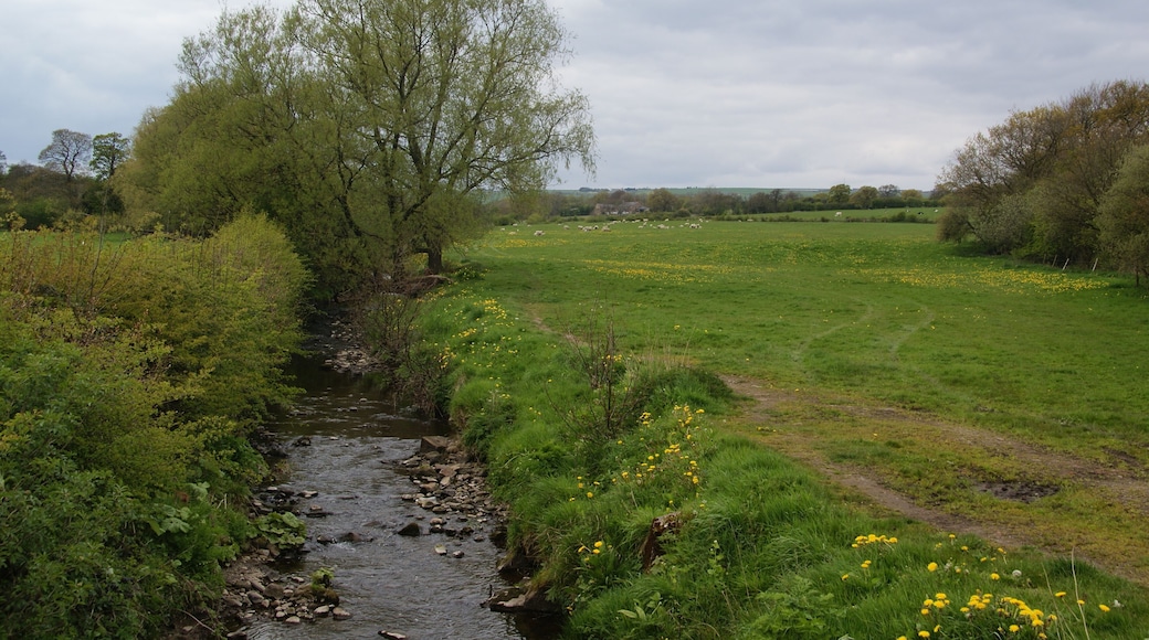 Boyce's Brook at the edge of Ribchester