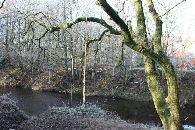 Hang 'em High Local youngsters "Tarzan ropes" over a side branch of the River Wyre. The consequences of a fall involve mud, water and unfriendly seasonal vegetation.